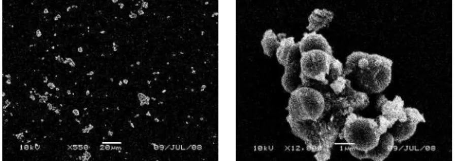 Fig1 SEM image                                                                                                                                                        Fig1 の(a)は合成した TiO 2 /CoFe 2 O 4 をメタノールで分散させ乾燥させたものを観察した。