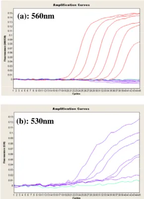 Fig. 1  Amplification curve of influenza virus type A and B detection by  multiplex real-time RT-PCR with  fluorescent probe