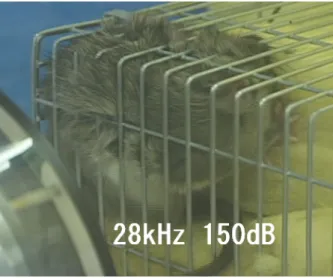 Fig. 1 Temperature rise on rat’s surface.