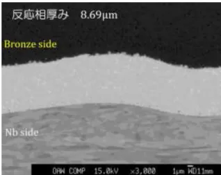 図 2.13: ST-50 における Nb 3 Sn 層断面 図 2.14: Mg-50 における Nb 3 Sn 層断面