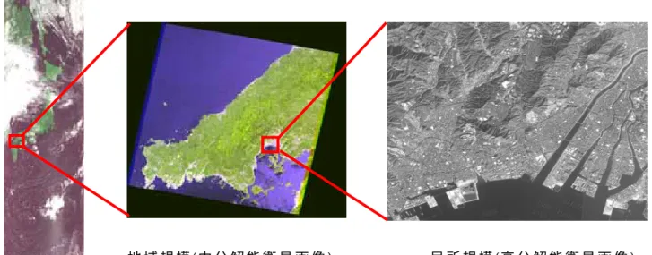 図 ２   多 段 階 衛 星 リ モ ー ト セ ン シ ン グ デ ー タ セ ッ ト の 概 念