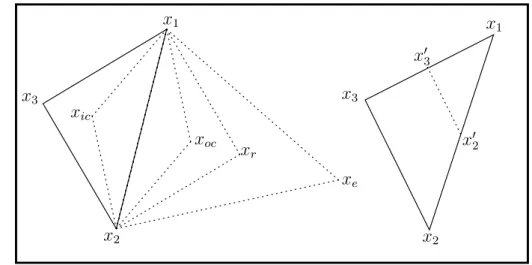 Figure 1.1: The reflection, expansion, contraction and shrinkage points for a simplex in two dimensions.