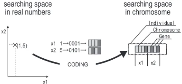 Fig. 1. Coding from real numbers to chromosome.