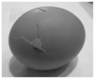 Table 5 Results of Critical Velocity Change Test  by Method-A  H  (mm)  ⊿V  (m/s)  Number of  damaged specimen    3  0.243 0    5  0.313 4    8  0.396 26   12  0.485 45   20  0.626 49   31  0.780 50   50  0.990 50   81  1.26  50  129 1.59  50  Amount 50  3