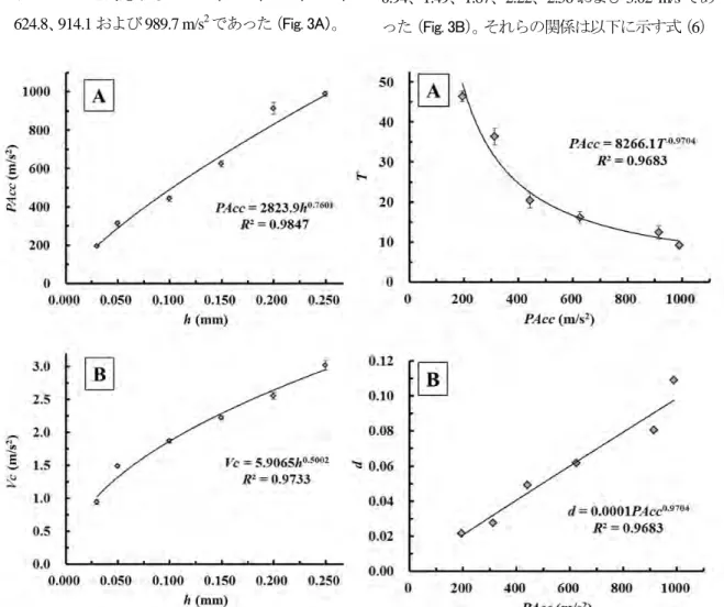 Fig. 3. Effects of differences in drop height (h) on  the occurrence of peak acceleration (PAcc, A)  and velocity change (Vc, B) at the first (bottom)  layer