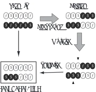 Fig. 3 Genetic operator of Dual DGA Sub Population Size= 2 Migration Rate = 0.5