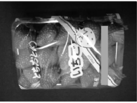 Fig.  4    Strawberry  in  2-layer  packaging  used  for testing. 
