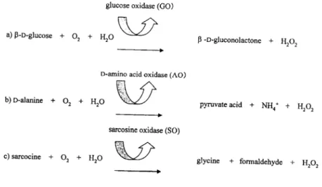 Fig. 2. Principle of enzyme reaction, a) Glucose sensor, b) D-amino acid sensor, c) Sarcosine sensor 