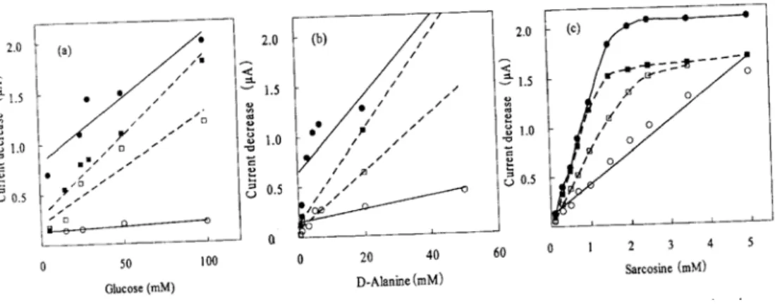 Fig. 3. Schematic diagram of enzyme accumulated on one side of intrafilter membrane using CDS