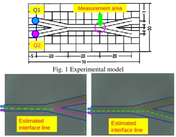 Fig. 2 Pictures by digital microscope (Magnification:×540)  Case 1: Q1 = 5μl/min Q2 = 5μl/min,   