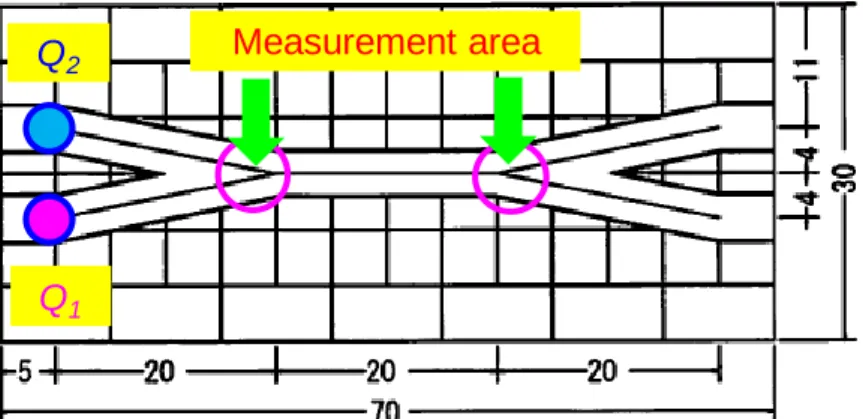 Figure 2. Observation area in micro chemical chip 