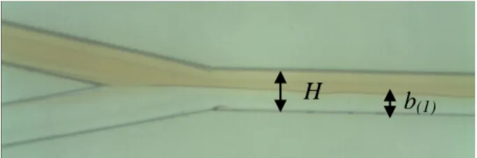 Figure 5. Comparison of observation and numerical results H b(1) 