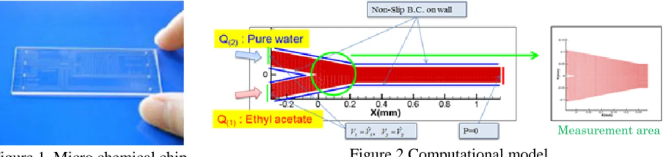 Figure 1. Micro chemical chip  Figure 2 Computational model