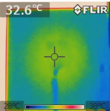 Fig. 1.1 Heat image in case that there is defect in center of structure