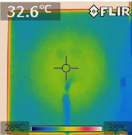Figure 1: Heat image in case that there is defect in center of structure