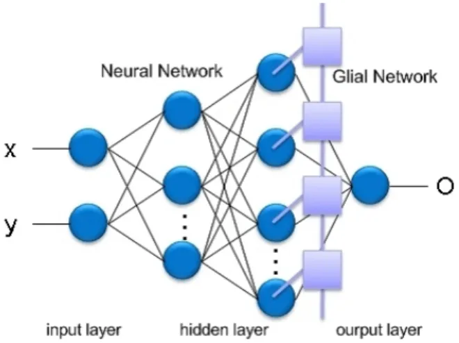 Fig. 1. MLP with chaos glial network.