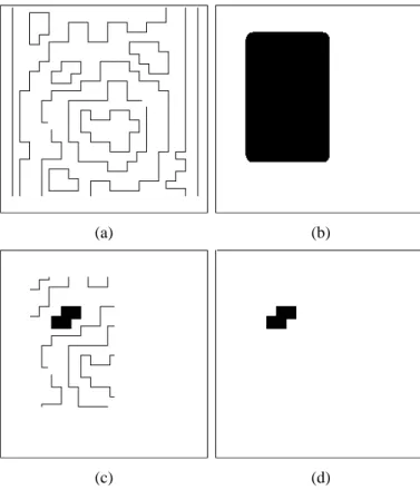 Fig. 2. Simulation results. (a) Input image (256 × 256). (b) Initial state.