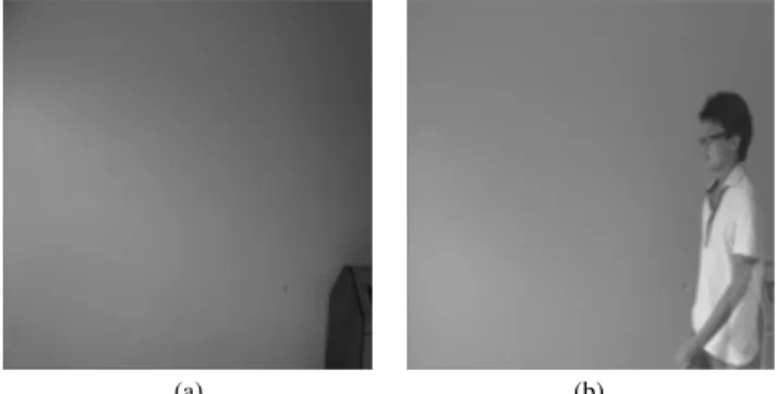 Fig. 7. Output images of second-layer CNN. (a) output image 1 (10 [τ]). (b) output image 2 (20 [τ]).
