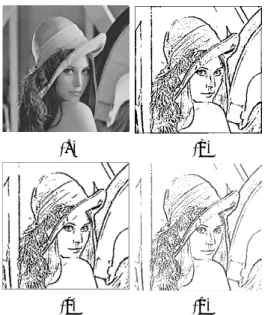 Figure 1: Simulation results. (a) Input image. (b) Simple 5x5 Edge detection template