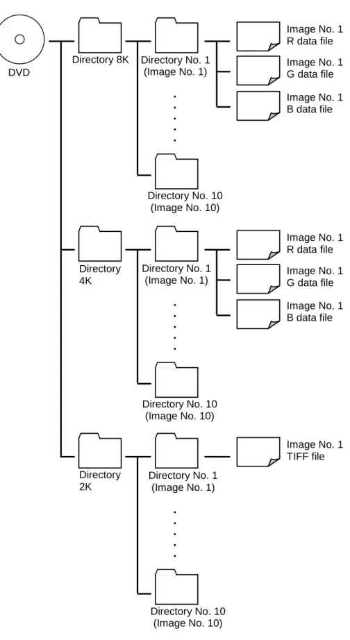 Figure 2-2  Directory structure DVD Directory No. 1 (Image No. 1)  Image No. 1 R data file   Image No