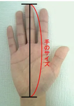 図 3.2: 手のサイズの定義 表 3.1: 被験者の手のサイズ [cm] 手の大きさ 標準偏差 被験者 1 17.0  -被験者 2 18.1  -被験者 3 20.5  -サンプルデータの人物 17.7  -日本人男性平均 [15] 18.3 0.8 日本人女性平均 [15] 16.9 0.7 表 3.2: 各指の真値と推定角度の差 [ 度 ] 親指 人差し指 中指 薬指 小指 平均 サンプルデータの人物 7.6 17.9 11.2 16.2 14.8 13.6 被験者 1 31.1 17.7 26.4