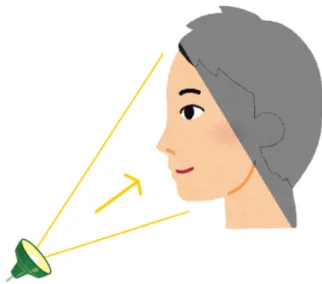 図 2.10: 画像の貼り付けのイメージ図