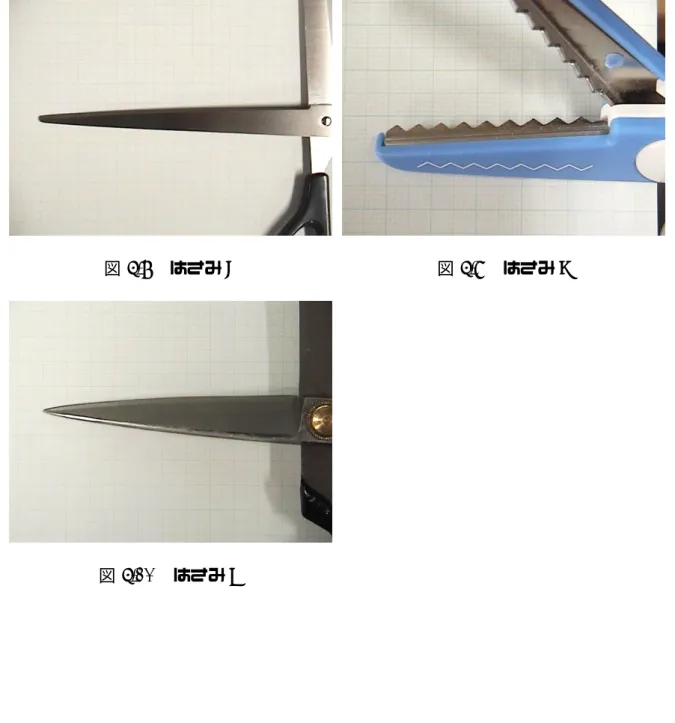図 5.10  はさみ G