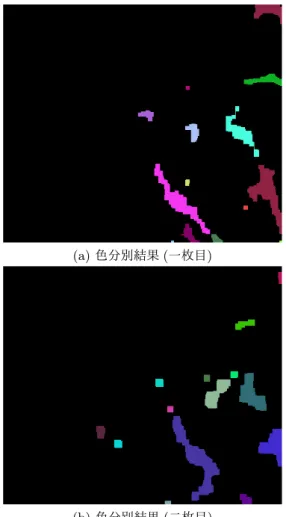 図 4.3: 色情報とラべリングによる血管候補領域検出