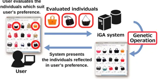 Fig. 3.1 に iGA による商品推薦の流れを示す．ユーザは Web インタフェースを通して，提示され