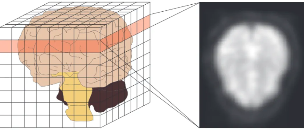 Fig. 4 NifTI のイメージ図 start 脳血流量の可視化 賦活部位の大きさ・位置の特定 賦活部位による行動推定 end 任意個数の賦活部位取得 Fig. 5 提案手法の流れ 時間輝度値レスト期間タスク期間 血流の変化量 Fig