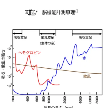 Fig. 5 生体組織による光吸収・散乱の波長特性 6）