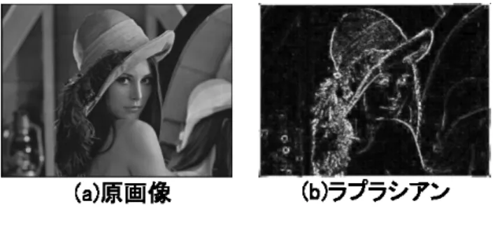 Fig. 1.27 ラプラシアンのフィルタ