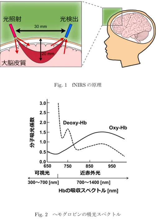Fig. 1 fNIRS の原理