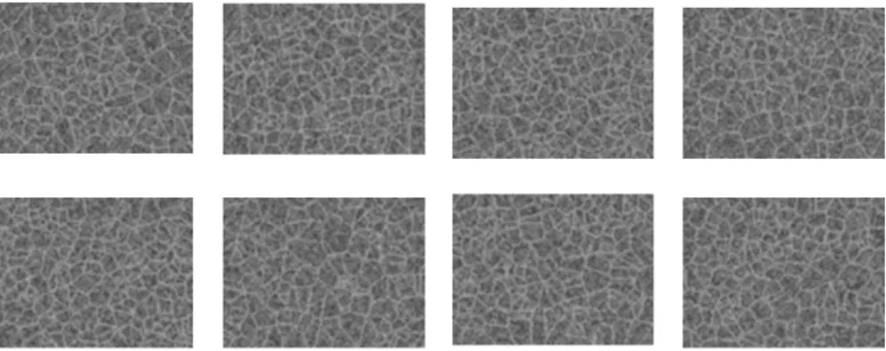 Fig. 12 1 度目の実験における最終世代の提示画像