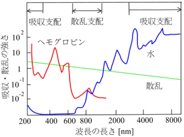 Fig. 2 Oxy-Hb と Deoxy-Hb の吸収スペクトル