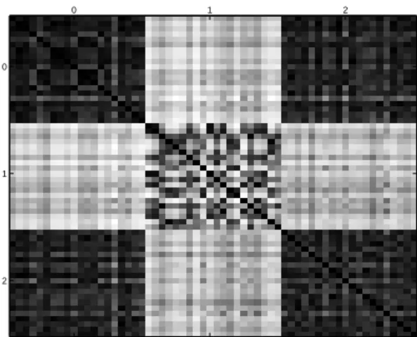 Figure 3: Normalized Gram matrix computed with the linear IGV kernel of twenty images of “0”,