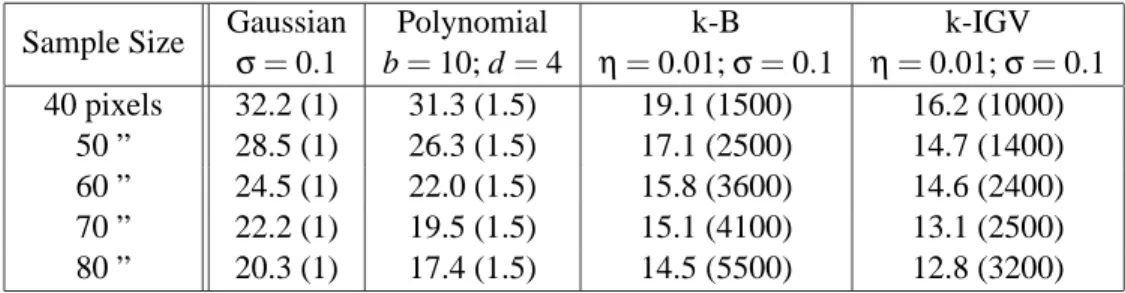 Table 1: SVM Error rate in percents of different kernels used on a benchmark test of recognizing digits images, where only 40 to 80 black points where sampled from the original images.