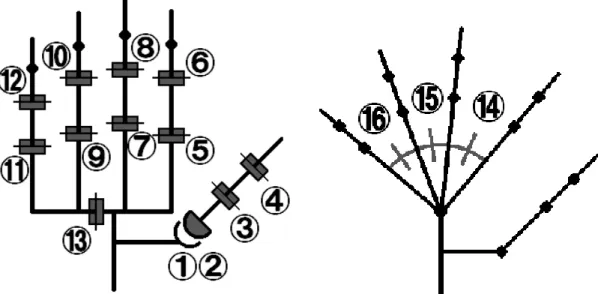 Fig. 3.3: Positions of the measured joints of the Cyber Glove