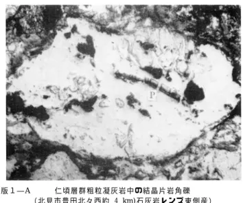 図 版 １ ―A      仁 頃 層 群 粗 粒 凝 灰 岩 中 の 結 晶 片 岩 角 礫  （ 北 見 市 豊 田 北 々 西 約  4 km)石 灰 岩 レ ン ズ 東 側 産 ）  A： 紅 簾 石 （P)― 緑 泥 石 ― 石 英 片 岩 礫    図 版 １ − B  B： 緑 簾 石 ― 緑 泥 石 ― 陽 起 石 ― 曹 長 石 片 岩 礫  （ 下 半 は 凝 灰 岩 の 基 質 ）  