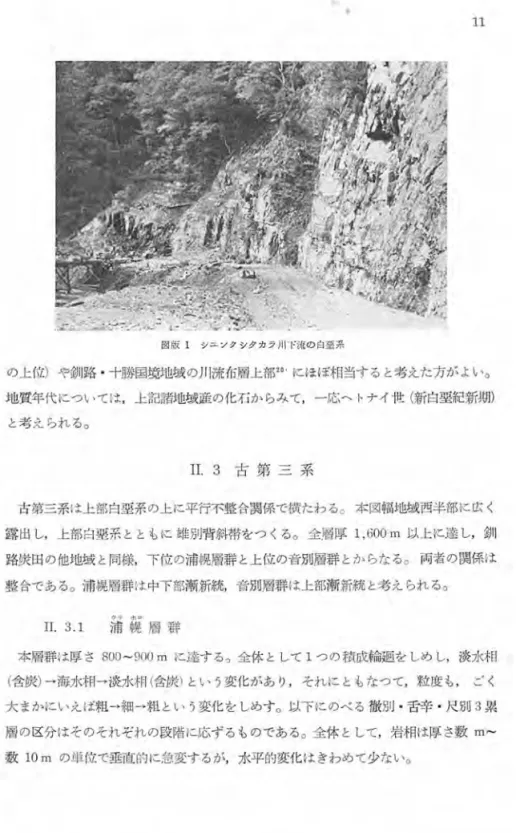 図 版 l シユ γタシタカク川 下流の白!a2系 の上位)や釧路 ・ 十 l 勝国境地域の川流布層上部目白 にほぼ相当すると考えた方がよい。 地質年代については，上記諸地域産の化石からみて，一応へトナイ世 ( 新白霊紀新期) と考えられる。 I I .  3 古 第 三 系 古第三系は上部白歪系の上に平行不整合関係で横たわ る 。 本図幅地域西半部 に広 く 露出し，上部自翠系とともに雄別背斜帯をつくる 。 全層厚 1 ， 6 0 0 m 以上に達し，割 1 1 路炭回の他地域と同様，下位の浦幌層若手と上