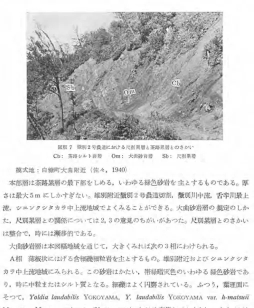 図 版 7 徹 g l J 2号食道におけ る尺別泉隠と茶路累周とのさヵ、ヤ Cb:  ~路ジルト岩 胞 O m   大国 1 / i 1 I 、 沼 周 Sb  尺別累府 模式地 白糠町大曲附近 ( 佐々 ， 1 9 4 0 )  本部層は茶路累層の最下部をしめる，いわゆる緑色砂岩を主とするものである。厚 さは最大 5 mにしかすぎ r ない。雄別附近微別 2 号農道切割，徹別 J I I 中流，舌辛川最上 洗， シュンクシタカラ中上流地域でよくみることができる。大曲砂岩層の規定のしか た，尺別累層との関