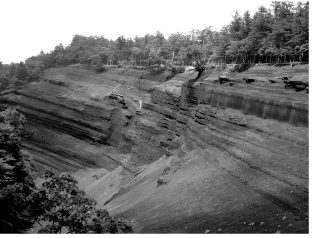 Fig. 2    Massive layers of scoria fall deposits exposed in the eastern foot of Fuji Volcano