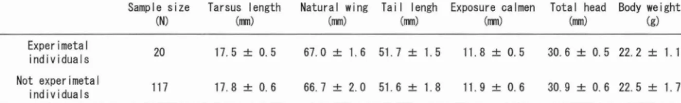 Table 1 .  Comparison o f  body measurements  (mean:!:SD) o f  the a d u l t  Eurasian Tree  Sparrows t h a t  were  used and n o t  used i n   the experiment ，  captured i n  the N a t i o n a l  Agr i c u l t u r a l  Research Center  i n  20 刊司 2012.The