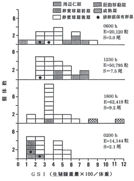 Fig. 1. Developｍental stage of ovaries each sampling time. The developmental stage of ovary is represented by the histological maturity stage of the most advanced group of oocytes in the ovary