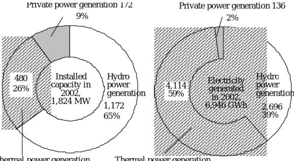 Figure 2.1  Power Generation Capacity and Production in 2002 