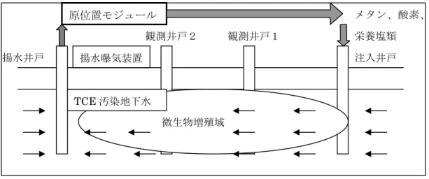 図 2-2-8  バイオレメディエーションによる地下水浄化の模式図  出典：日本総合研究所  資料      このほか、95 年から経済産業省所管の RITE（地球環境産業技術研究機構）のプロジェ クトとして千葉県君津市のトリクロロエチレン汚染地下水を用いて実証試験が行われてい る。98 年に微生物活性化法により効果を確認した後、2000 年初頭からは、地上で培養さ せた分解微生物を地下に注入させ分解する手法（バイオオーグメンテーション：微生物添 加法）が試みられており、分解が確認されている。注入した微生物