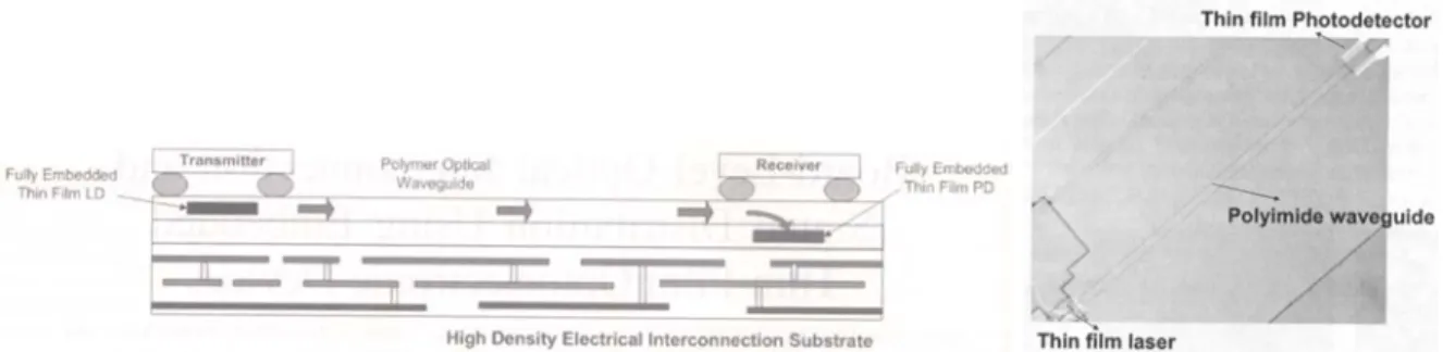 図 2.3.3.5  ELO 素子を埋め込んだ Optoelectronic Board の例（S.-Y.Cho et al. 5 ） ,S.-W.Soe et al. 6) ） 