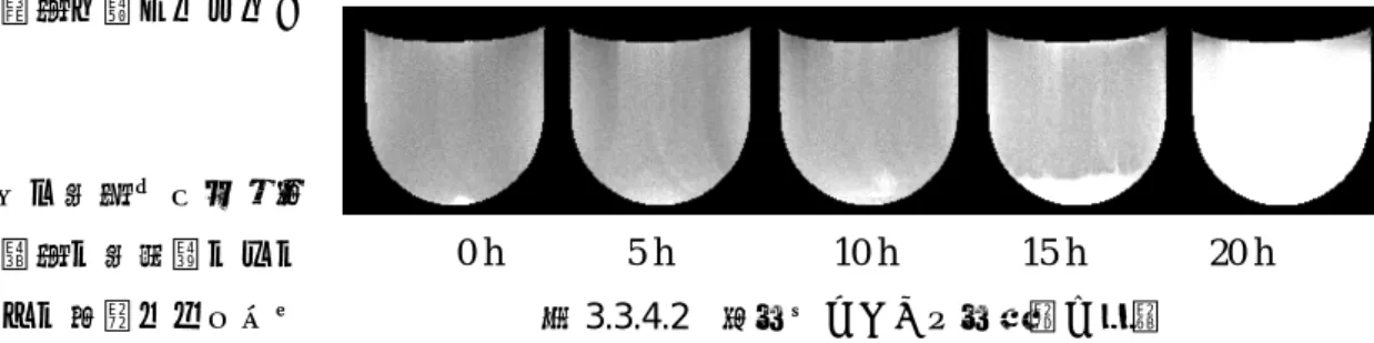 図 3.3.4.3  各種ソーセージの NMR イメージ （左）と水・油の分布（右） 。右のイメージは 横軸が化学シフト縦軸が対応するＮＭＲイメ ージの縦位置でＮＭＲイメージ上の四角で囲 った部分を測定している。  水  油サラミソーセージ 粗挽きソーセージ 魚肉ソーセージ 図3.3.4.1 にミニトマトの成育過程におけるイメージ変化を示した 8) 。上の NMR イメージは水の量を表し下は縦緩和時間(T1)の値をイメージ強度として表したもので，白いところほど緩和時間が長く水の運動性が高いことを示している。