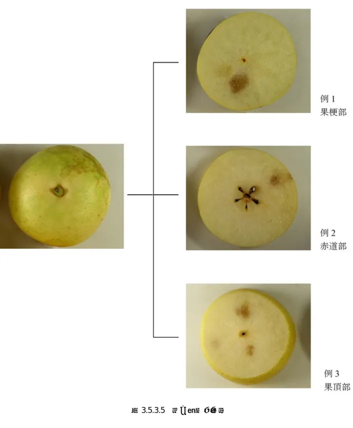 図 3.5.3.5   梨の褐変障害果 