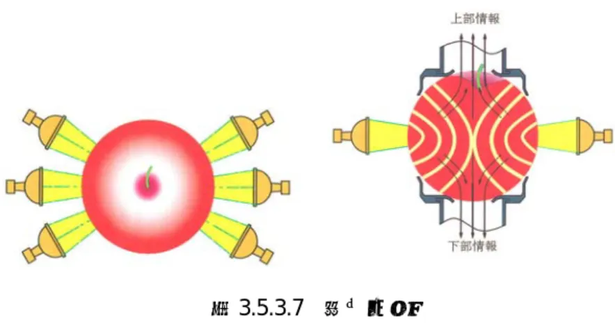 図 3.5.3.7  第三世代  ③生産地では，かつての大量生産，大量販売から後継者不足もあり，高品質，高価格の生産地戦略に移行 する中でこれまで選別人でも充分に確認できない写真の様な生理障害果が品質保証の上で問題として浮上し， さらに貯蔵による長期販売を見据えて糖や澱粉含有量，水浸の状況を正確に把握し，貯蔵する必要性が高ま り，より高精度な測定機が求められ，第三世代の開発へと繋がった。  (4)  第三世代は，上下二方向より内部品質測定を行うシステムである。前述の如く，今日では当たり前の計 測条件を正確に
